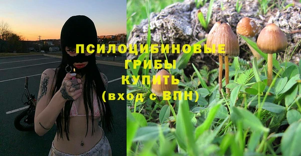 сатива Вязьма