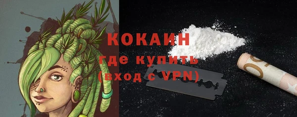 сатива Вязьма