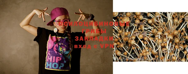 a pvp Вяземский