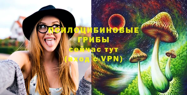 сатива Вязьма