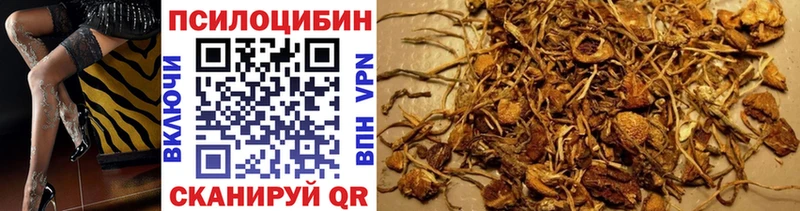 Псилоцибиновые грибы Cubensis  Нолинск 